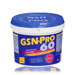 PROTEIN 60 FRESA GSN 1 KILO