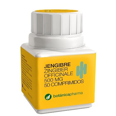 JENGIBRE 500 MG 50 COMP BOTANICA