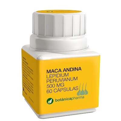 MACA ANDINA 500 MG 60 CAP BOTANICA