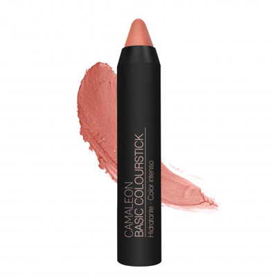 BARRA LABIAL BASIC CAMALEON Nº5 NUDE 4G