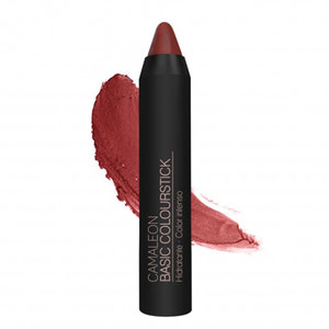 BARRA LABIAL BASIC CAMALEON Nº7 TERRA 4G