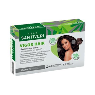 GINKGO BILOBA 20 FILTROS YNSADIET